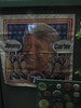 Jimmy Carter Presidential Library 2008 : Atlanta, GA